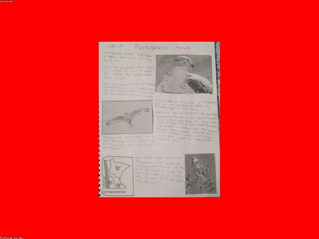 យល់ដឹងអំពីការវិភាគអត្ថបទ