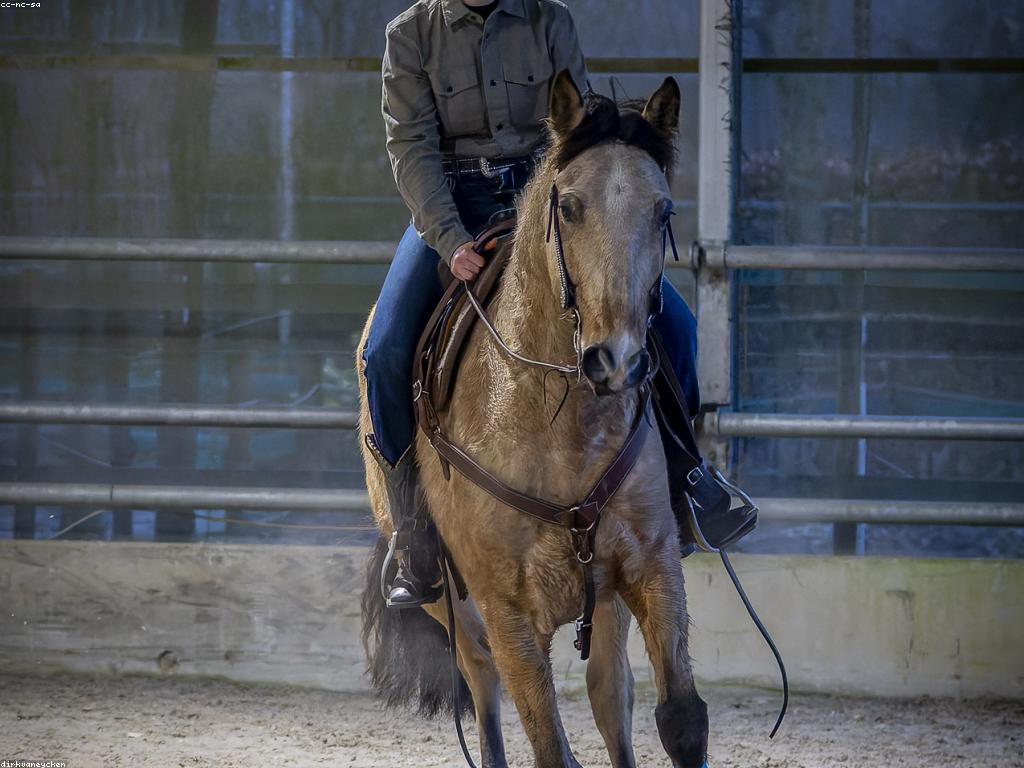 ព្រឹត្តិការណ៍ពេញនិយម: ការបង្ហាញពីព្រឹត្តិការណ៍ដែលគួរឱ្យចាប់អារម្មណ៍នៅក្នុងឆ្នាំនេះ